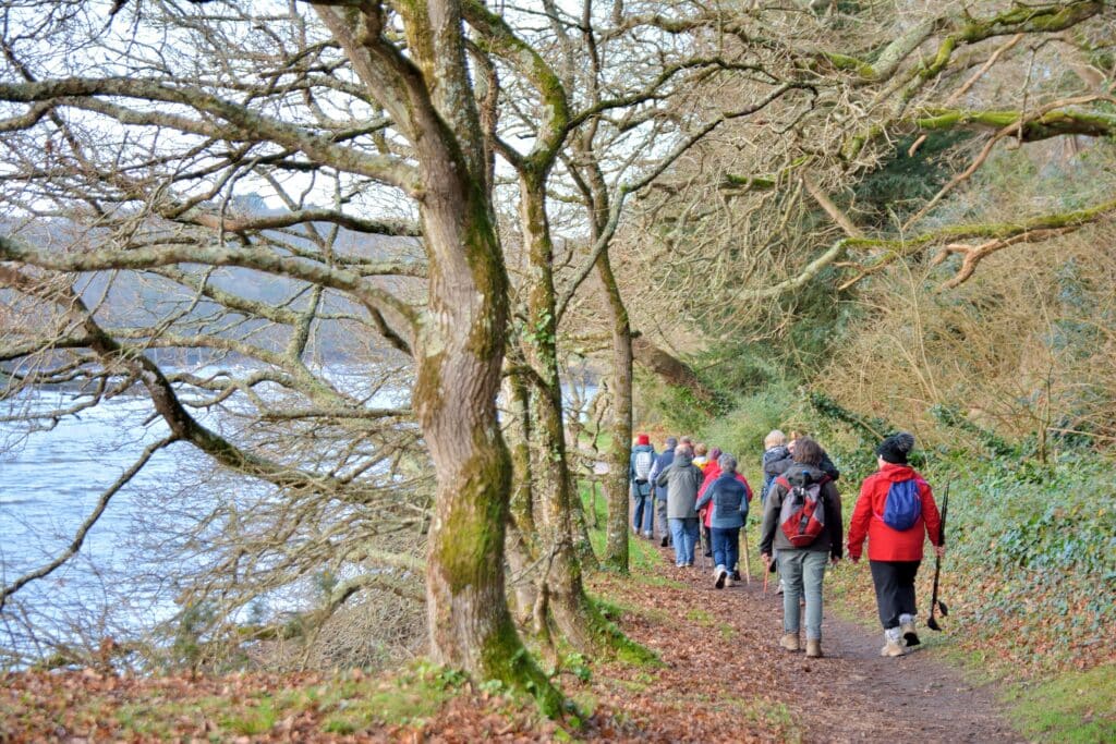 AdobeStock 314959290 2